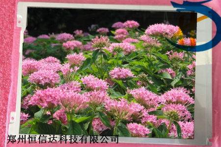 G084SN05 V8,友达液晶屏