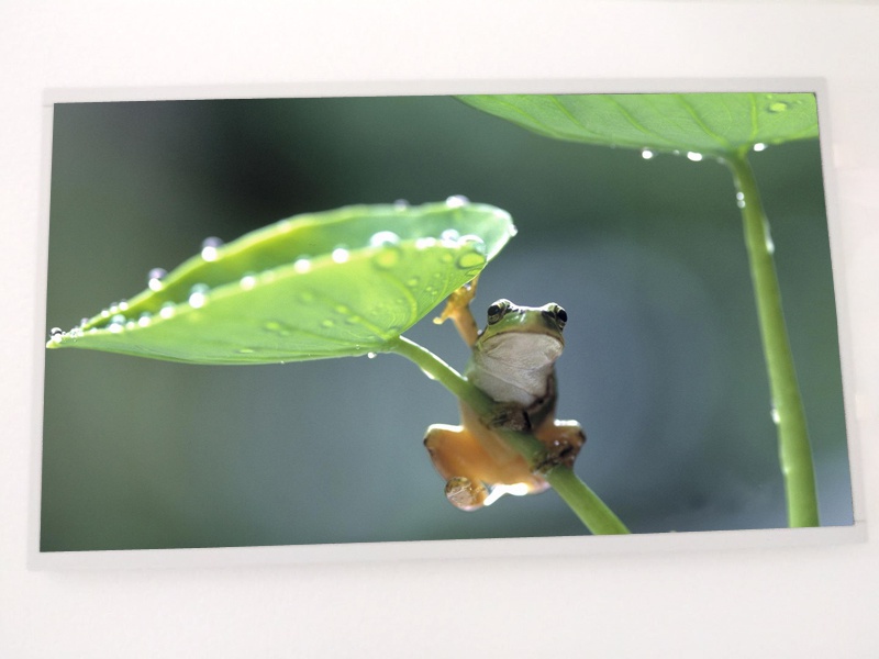 HR215WU1-120,京东方液晶屏